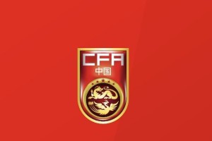 FB体育官方网站-媒体人谈U19国青：搭建阵容强调适应性，久尔杰维奇大胆练兵